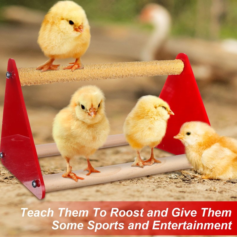 6 Pcs Chick Feeder and Waterer Kit with Chick Perch