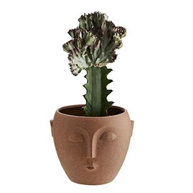 Madam Stoltz Matt Terracotta Stoneware Flower Pot With Face Imprint