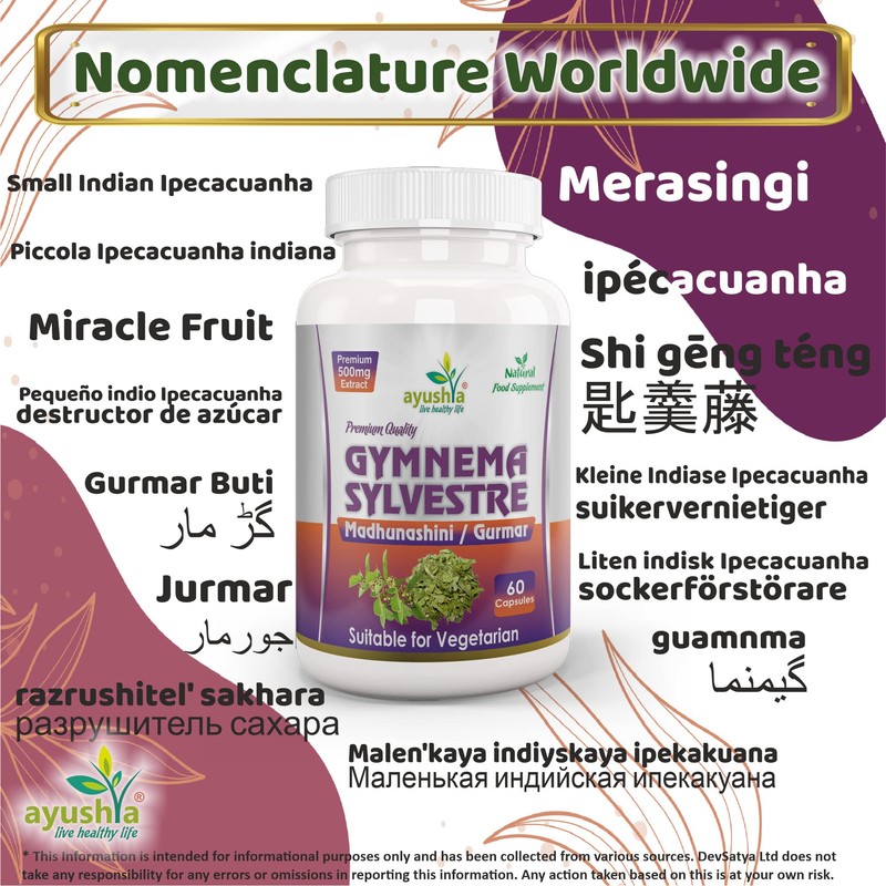 Ayushya Gymnema Sylvestre (Madhunaashini) Capsule, 500 mg Pure Extract, 60