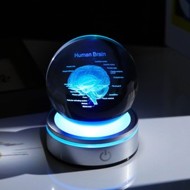 3D Human Brain 3.15 in. Crystal Ball Gifts for Him Her, Human Brain Anatomical Mini Model with Colorful Light Base for Neurologist Doctor Pharmacist, Physiology Graduation Gifts for Medical Students