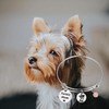 FAADBUK Yorkie Mom (Yorkie Mom Bracelet)
