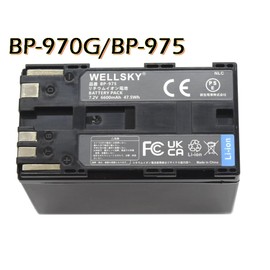 WELLSKY BP-975 BP-970G BP-970 互換バッテリー 1個 + CA-935 超軽量 USB Type-C 互換充電器 バッテリーチャージャー 1個 [ 2個セット ] [ 端子保護カバー付き 純正品と同じよう使用可能 残量表示可能 ] キヤノン iVIS アイビス ビデオカメラ