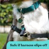 Gentle Creatures Collar Companion - Adjustable Backup Clip for Dog