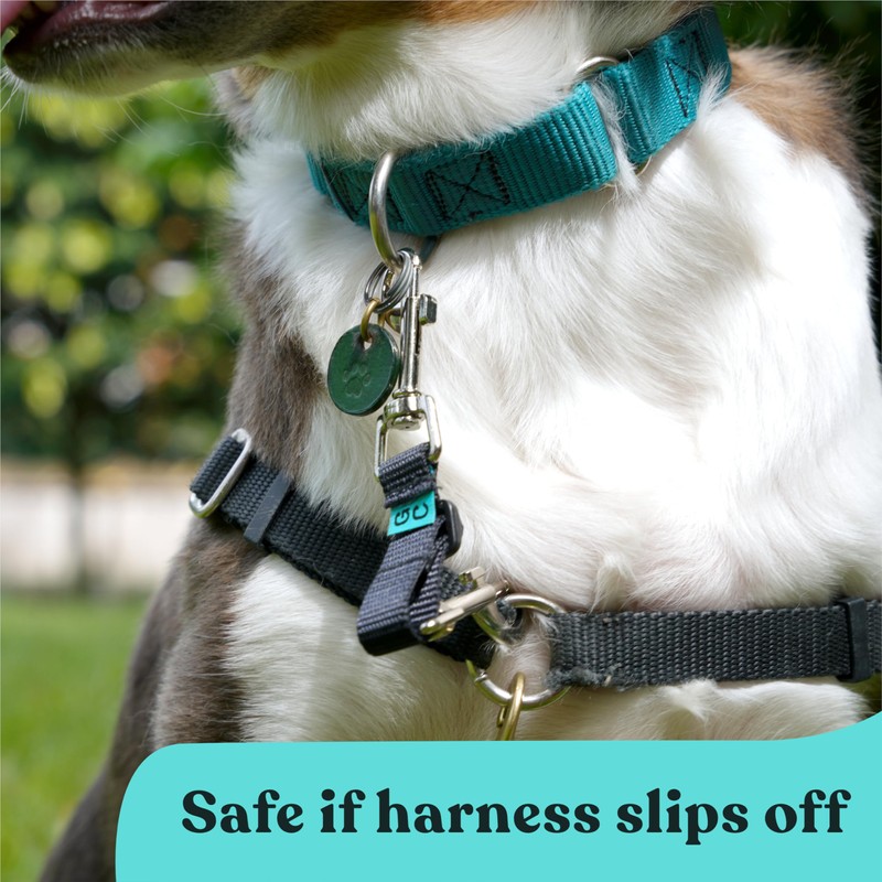 Gentle Creatures Collar Companion - Adjustable Backup Clip for Dog