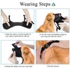 Black Nylon Mesh Dog Muzzle,Adjustable Loop Pet Muzzle for Biting,