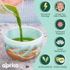 AprikaLife Organic Ceremonial Grade Matcha Powder - First Harvest