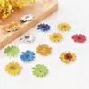 100PCS Wooden Buttons Sewing 2-Holes Scrapbooking Button Crafts Flower Shape