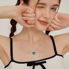 PARYFO Urn Necklace for Ashes 925 Sterling Silver Heart Crystal Urn Pendant Necklace Memorial Cremation Jewelry Mother's Day Gifts for Women