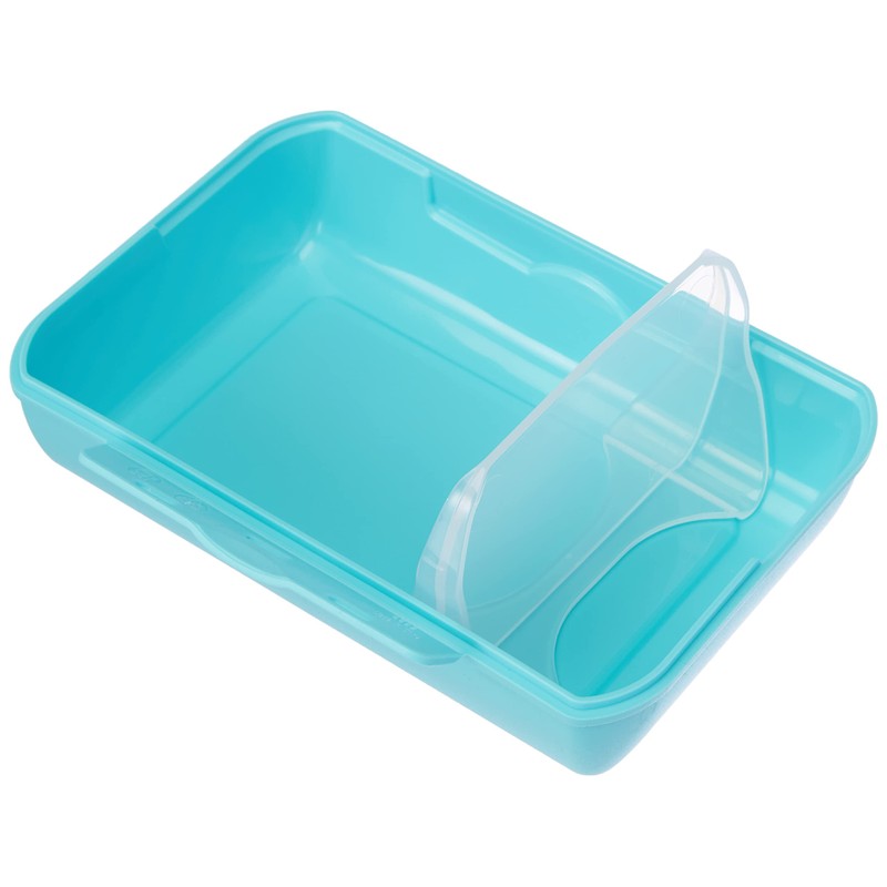 Emsa 514482 Lunch box for children, Removable partition, monster motif,