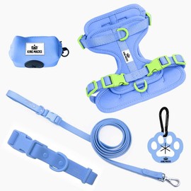 King Macks Dog Harness Set with Collar and Leash, Waste Bag Holder and Dirty Waste Bag Clip, Adjustable for Small/Medium/Large Dogs, Lightweight (Blue with Green, Extra Small)