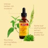 ORS HAIRestore Fertilizing Serum with Nettle Leaf and Horsetail Extract