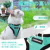 Rabbitgoo Cat Harness and Leash Set, Suitable for Both Cats