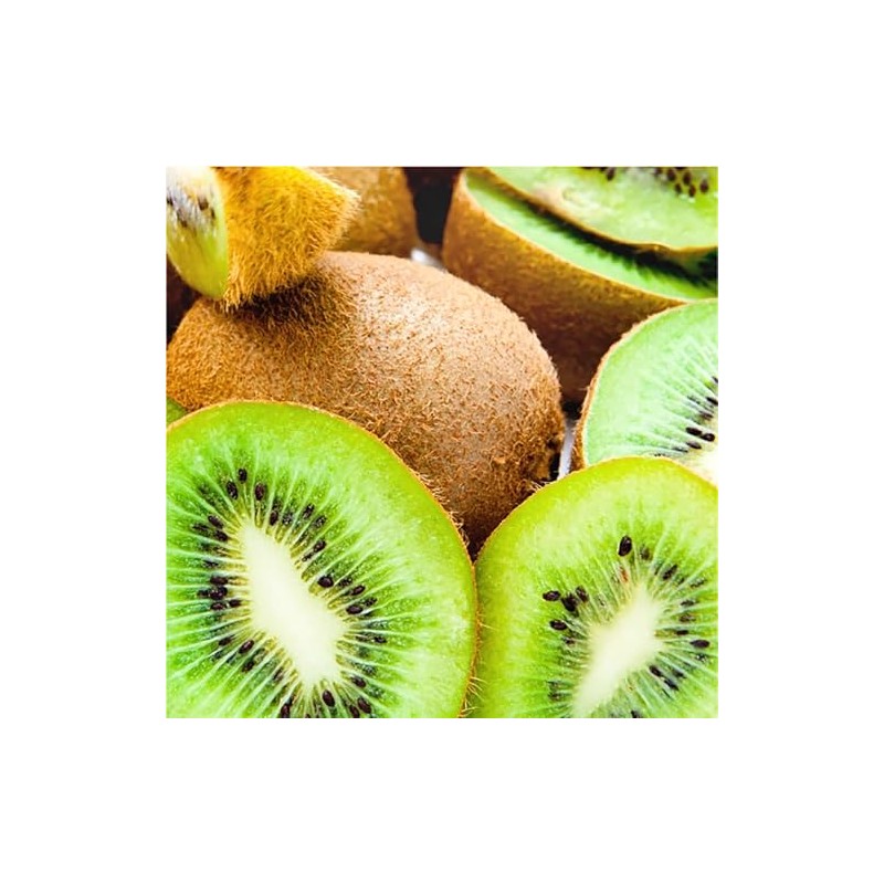 Biolù - Solid Shampoo Kiwi Organic 55 g - BIOLU