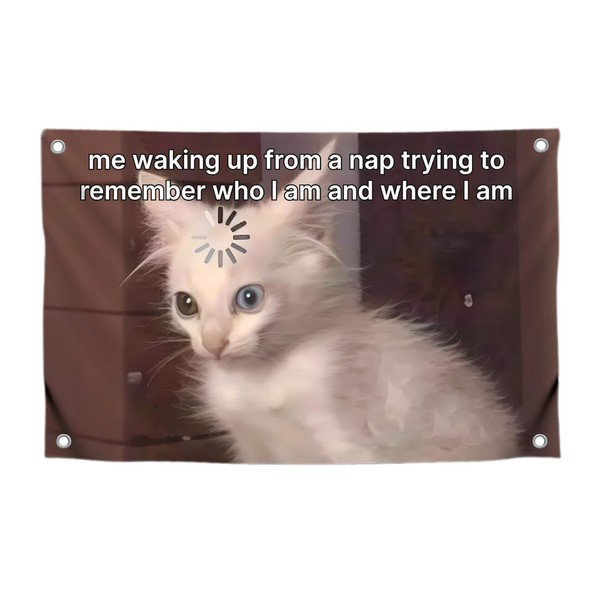 3x5 Feet Funny Meme Flag with Quote "Ime Waking Up