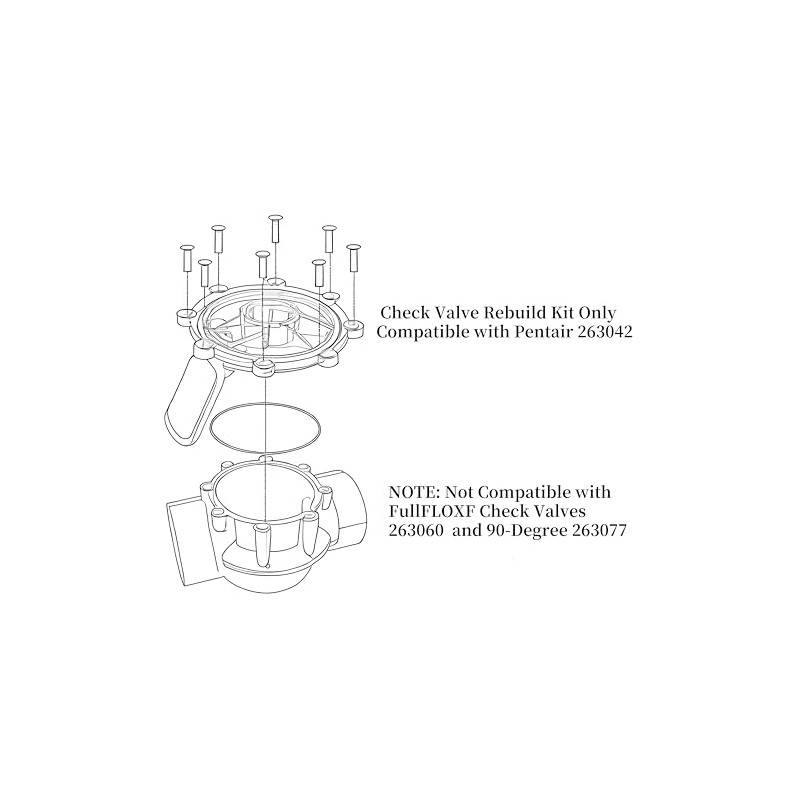 SWEthSU 263042Z 2 Way CPVC Check Valve Flapper Compatible with