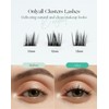 Eyelashes, Cat Eye Extensions, Cluster Lashes, Individual Eyelashes, Natural C-Curl