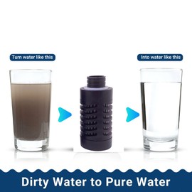 WATER TO GO Replacement filters - Pack of 2 - Triple Nano Filtration Technology. Fits all Filtered Water Bottle