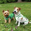 LyssKMK 4 Pack St. Patrick's Day Dog Shirts Shamrock Rainbow