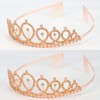 CAVETEE Champagne Gold Birthday Queen Crown and Sash Set -
