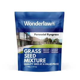 RYEGRASS SEED PEREN 10LB