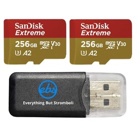 SanDisk Extreme V30 A2 256GB Micro SD Card (Two Pack) for DJI Air 2S Drone (SDSQXA1-256G-GN6MN) Class 10 160MB/s Read Speed SDXC Bundle with (1) Everything But Stromboli MicroSDXC Memory Card Reader