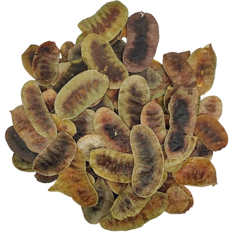 Dried Senna Pods Herbal Tea 85g to 1.95 KG Premium