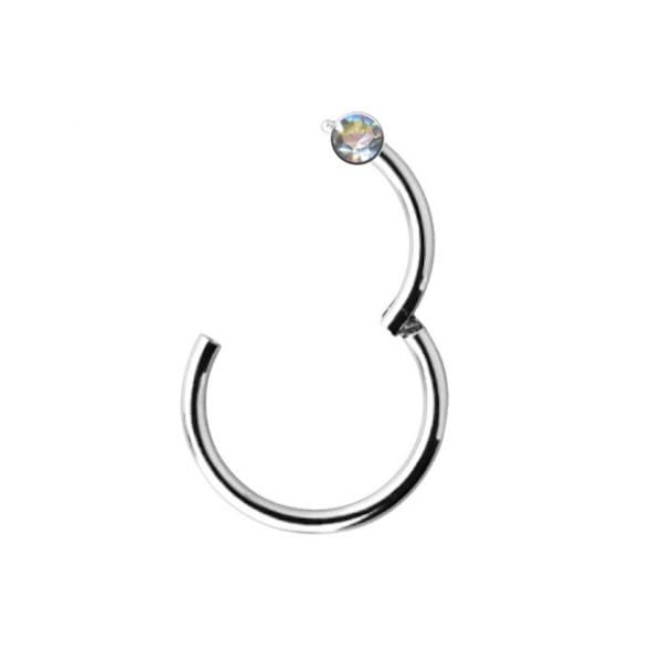 Clicker Silver Segment Ring Piercing Ring Hinged Septum Nose Ear