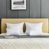 QSWRD 18 x 18 Throw Pillow Inserts Pack of 2