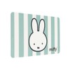 Miffy Breakfast Board with Rabbit Stripes Design