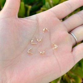 10pcs Adabele Real 1/20 14K Gold Filled Clamshell Calotte Bead Tip End Cap Knot Cover Findings Double Closed Rings for Jewelry Making JK4-B2