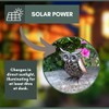 Smart Garden Metal Scroll Owl Solar Light