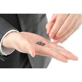 Don Flyee C0052 Sasa Diet Panda Pin Pin Butterfly Clutch Alloy