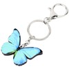 DOWAY Llavero azul Morpho mariposa primavera verano llavero encanto para