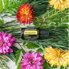 doTERRA Bergamot Essential Oil - 15 mL
