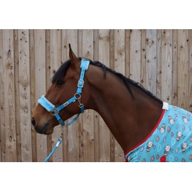 Ruggles Horse and Pony Head Collar With Matching Faux Fur Trim | Durable, Comfortable and Adjustable | Ideal for Travel, Shows, Competitions and everyday use (Aqua, Cob)