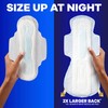 Always Maxi Overnight Pads with Wings for Women, Size 5,