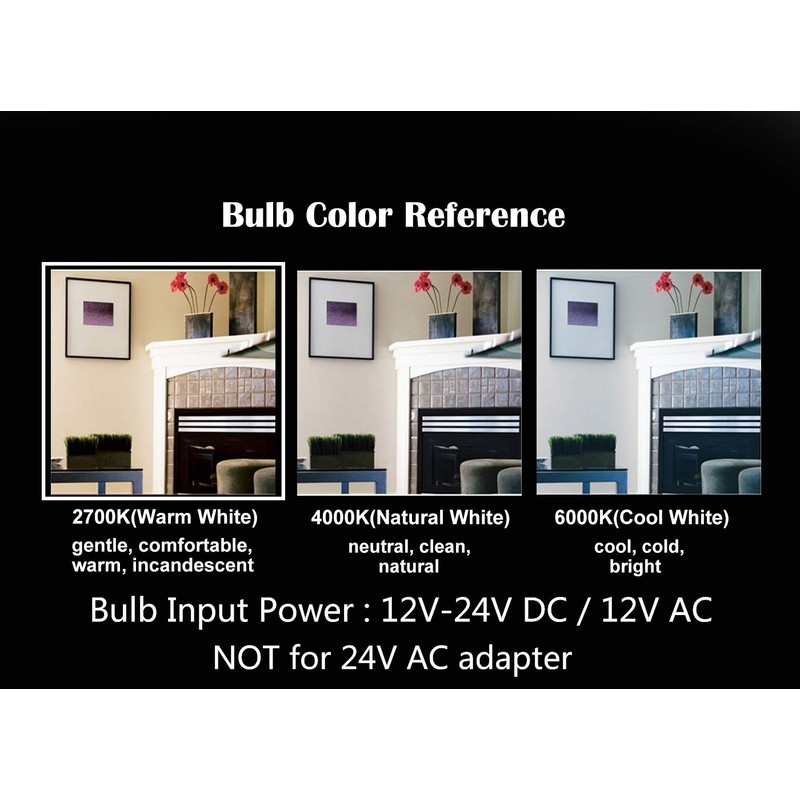 OPALRAY DC 12V Low Voltage LED Mini Globe Bulb, 4W