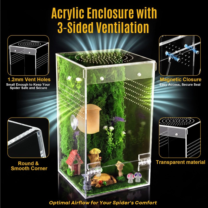 Feekoon Large Jumping Spider Enclosure Kit, Acrylic Insect Terrarium
