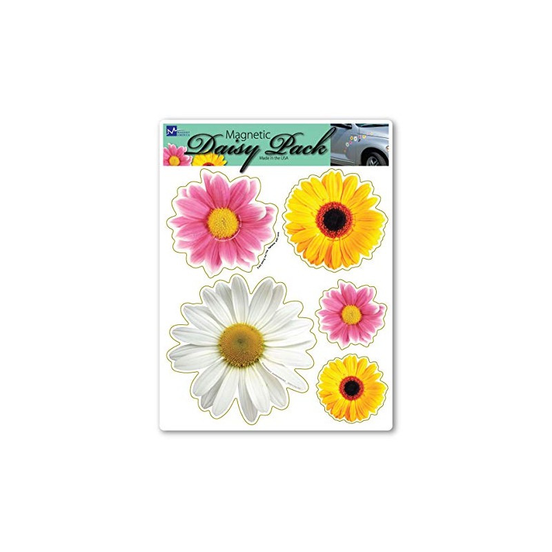 Daisy Flower Pack Magnet by Magnet America Is 8" x