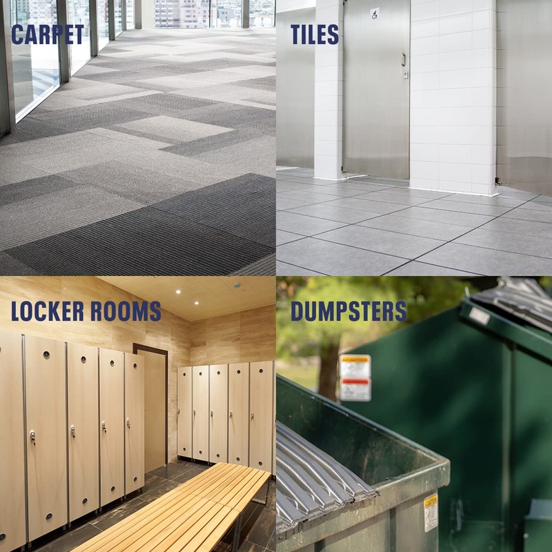 Bioesque Advanced Odor & Stain Remover with Enzymes, 32 Fl