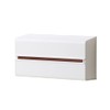 ideaco WALL PT2 Stick-on Any Wall Value Size Paper Towel