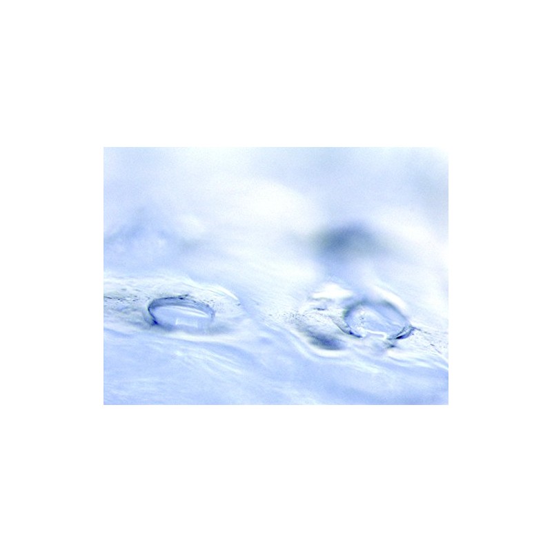 quanis kuonisu da-mafira- with 8 Set (Left, Right, 2 X 8 Set)