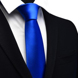 Branduce Royal Blue Tie Solid Satin Ties for Men Silk Blend Necktie for Wedding Business (TA11-42)