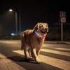 LED Dog Collar, Light Up Dog Collar, USB Rechargeable -