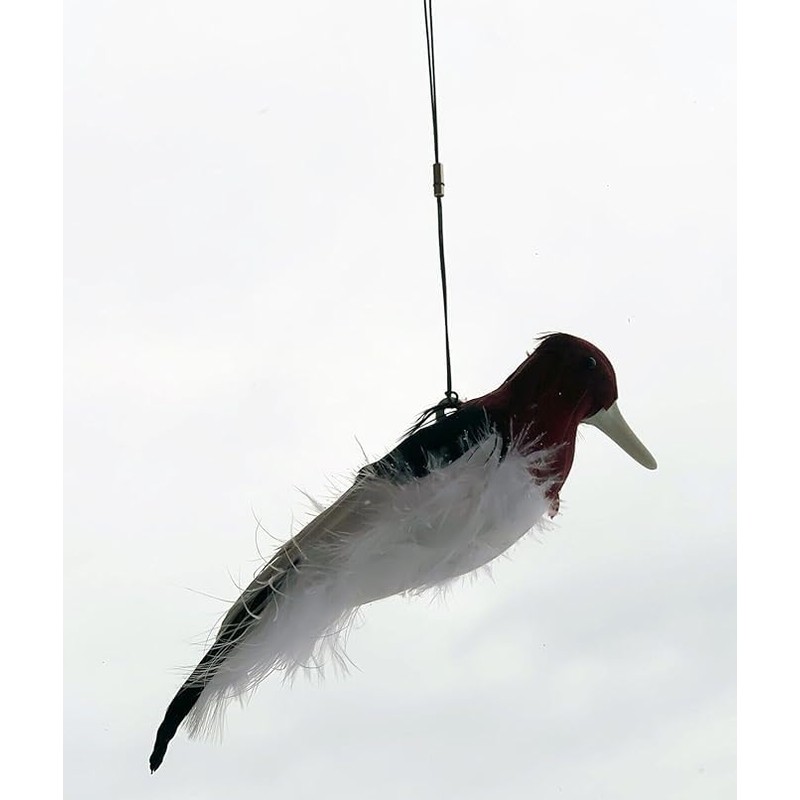 Slockmaster Kill Chirp, Digital Trap Bait Caller - Designed by