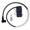 Ignition Coil With Spark Plug BM6A For Echo Shindaiwa Blower
