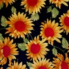 Hot Summer Sunflowers Fat Quarter Fabric Bundle - 5 x