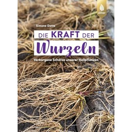 Die Kraft der Wurzeln: Verborgene Schätze unserer Heilpflanzen