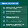 Nature's Own Bodyfuel Mens Multivitamin 60 Tablets