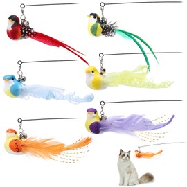 GSrenyu 6 Pieces Cat Toys for Indoor Cats Adult Kitten, Interactive Cat Bird Feather Toys Cats Wand Toy with Wand Stick for Indoor Outdoor Playing Adult Kitten